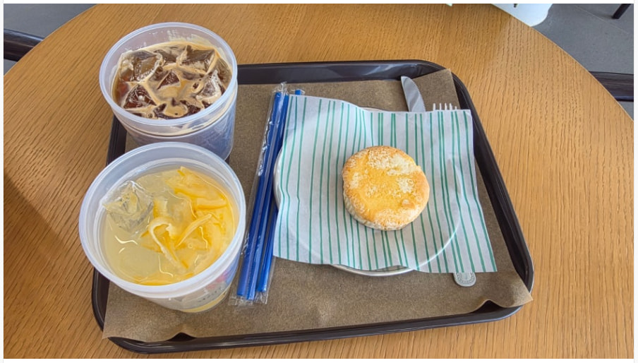 자라섬 (2025 꽃 페스타)