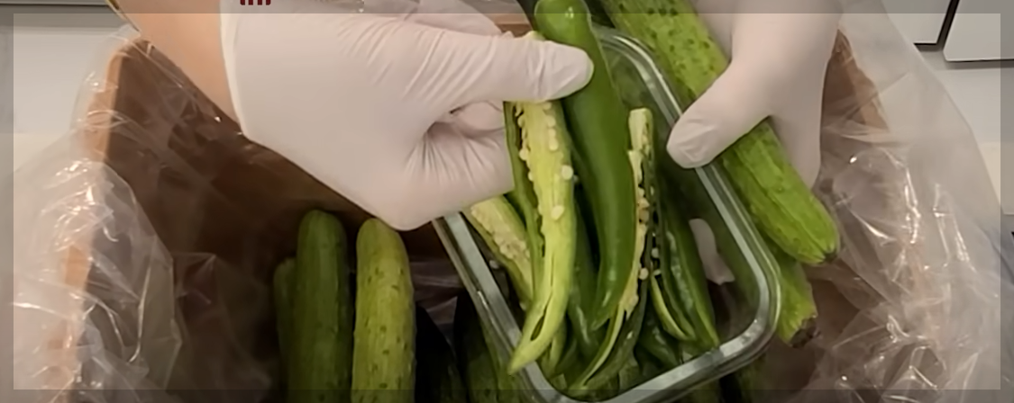 오이지 담그는법 비율 및 오이 장아찌 아삭하게담는법 