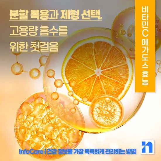 비타민C 메가도스 효능