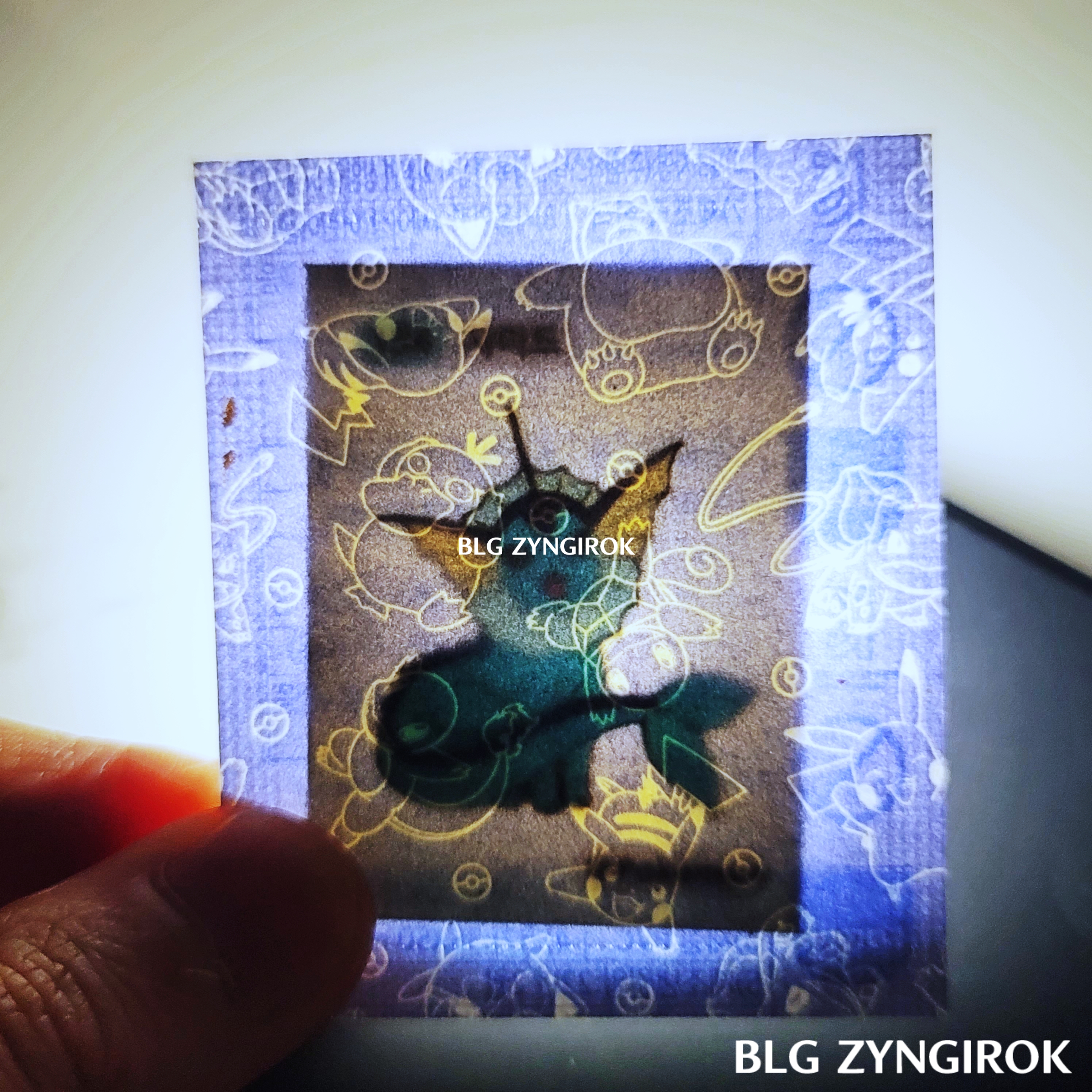 띠부띠부씰-샤미드를-들고있다.