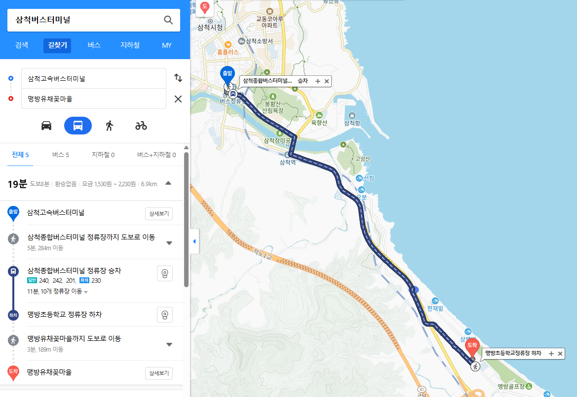 삼척버스터미날 - 맹방 유채꽃