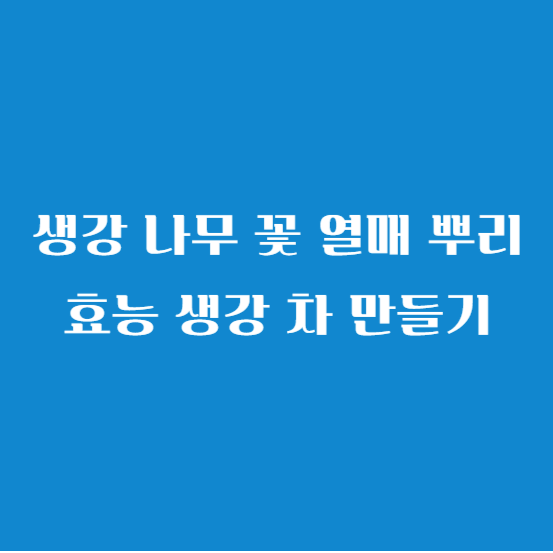 생강 나무 꽃 열매 뿌리 효능 생강 차 만들기