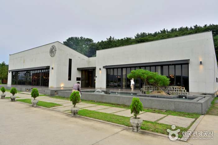 강주 해바라기 축제