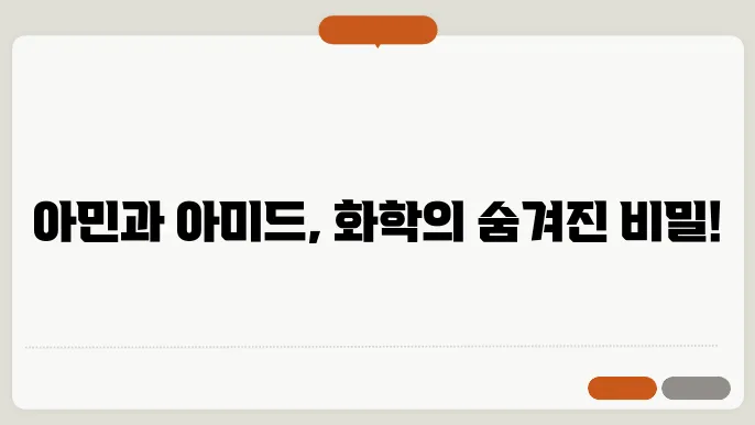 아민과 아미드