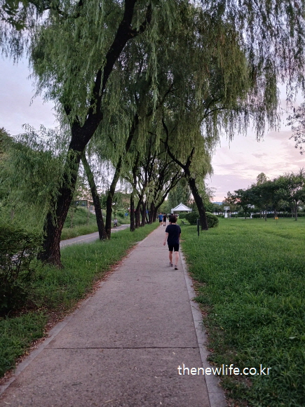 공원 길에서 걷기 운동을 하는 사람 &ndash; 팔을 자연스럽게 흔드는 걷기 운동 자세