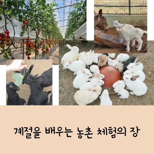 율봄식물원 수국 축제