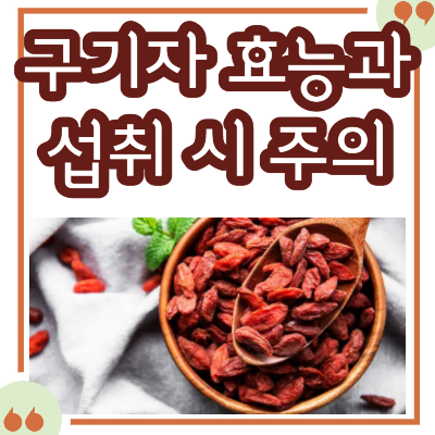 구기자 효능&#44; 먹는법&#44; 섭취 시 주의사항