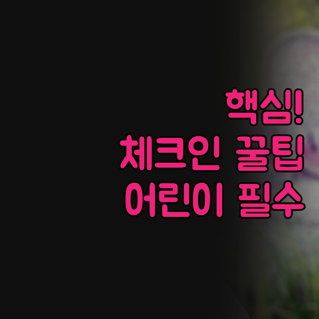 HOTEL O GALAXY INN 체..