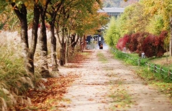 인천/명품/단풍/명소