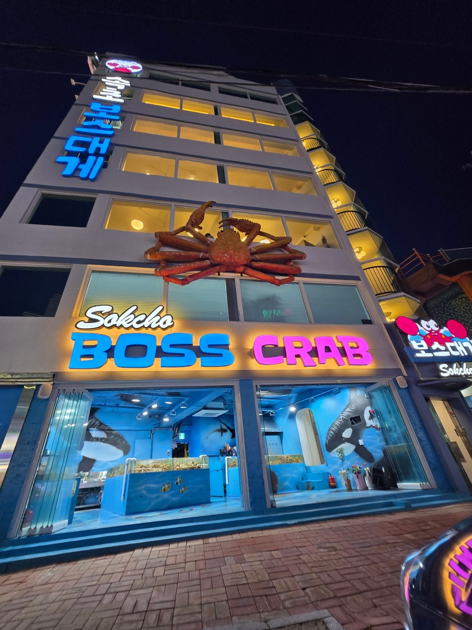 속초보스대게