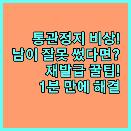통관부호 사용 정지 재발급 타인 오입..