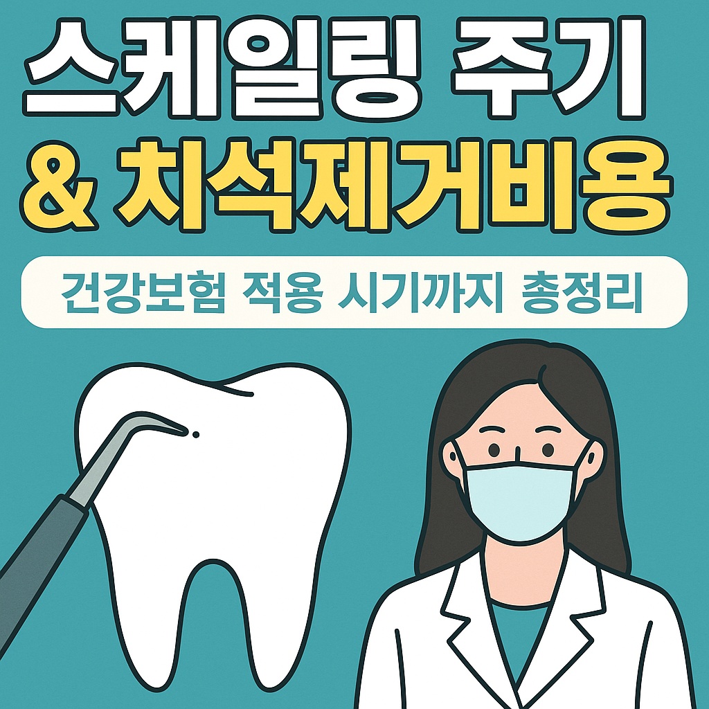 스케일링 주기 &amp; 치석 제거 비용 총정리 썸네일 이미지