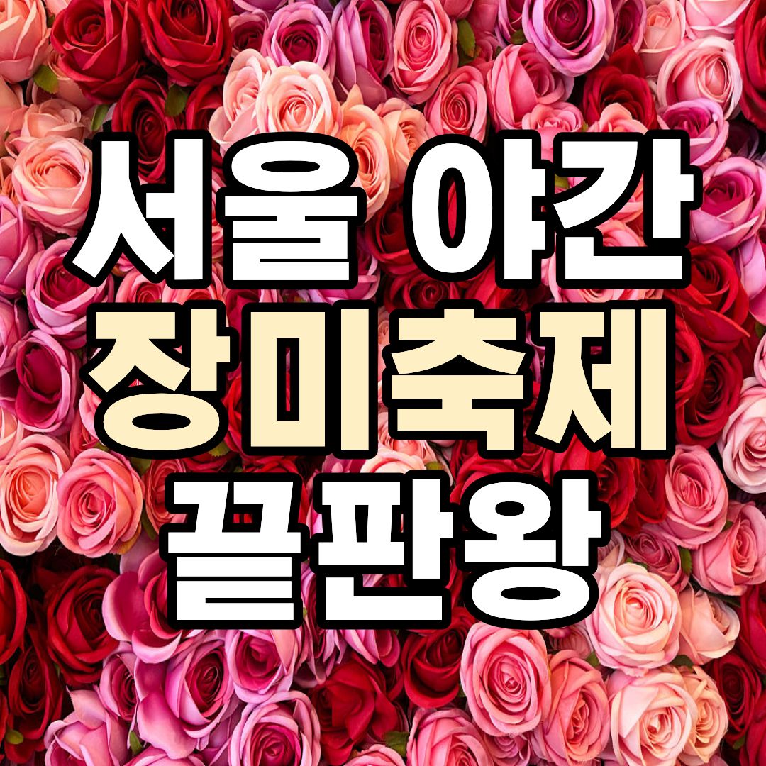 중랑천 장미축제 야간 장미터널과 초대가수 공연 현장