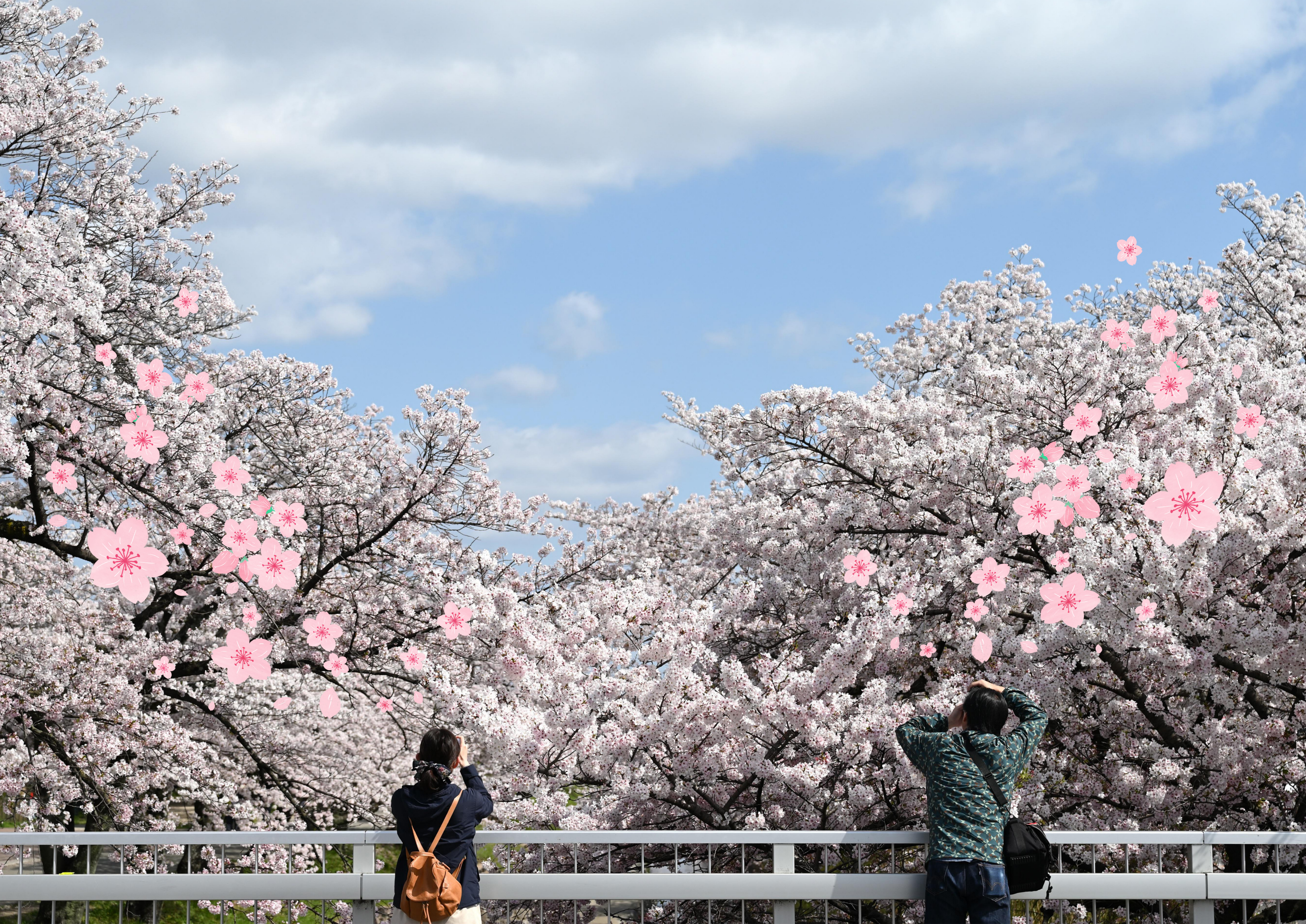 봄 드라이브 추천 코스