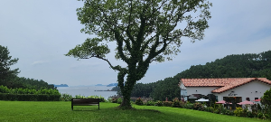 통영 가볼만한 곳 물빛소리정원