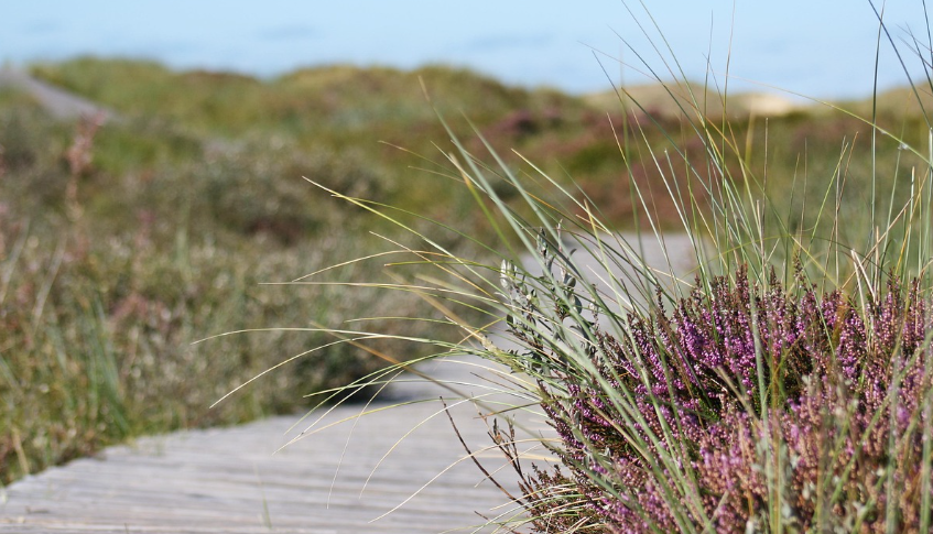 의령 충익사와 독수리 바위, 부모님과 함께하는 효도여행 관련 사진