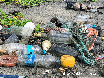 미세 플라스틱을 제거하는 기술: 해결책은 있을까?