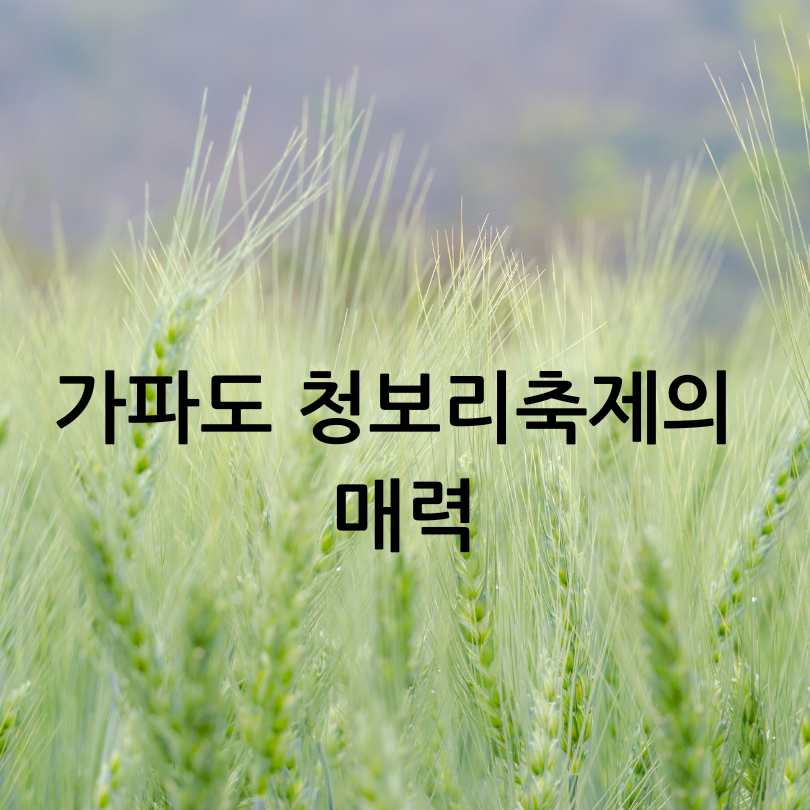 가파도 청보리축제