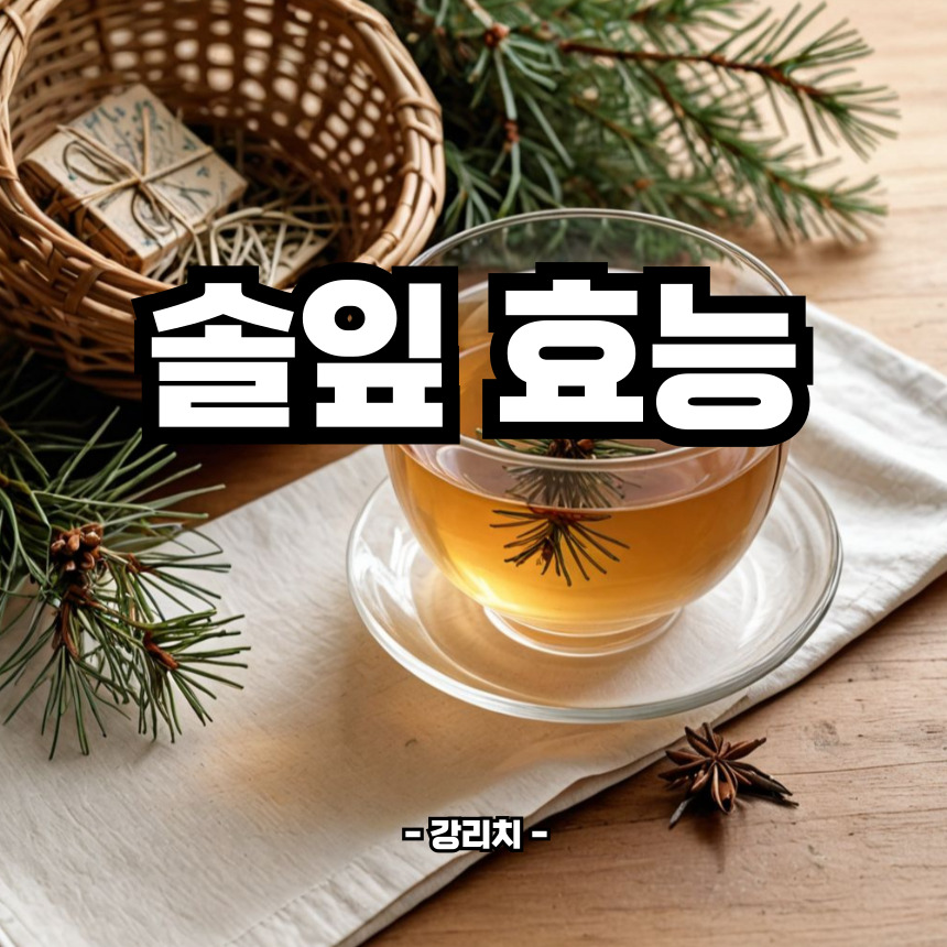 솔잎 효능