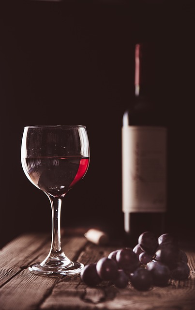 와인 소믈리에 되는 법 관련사진