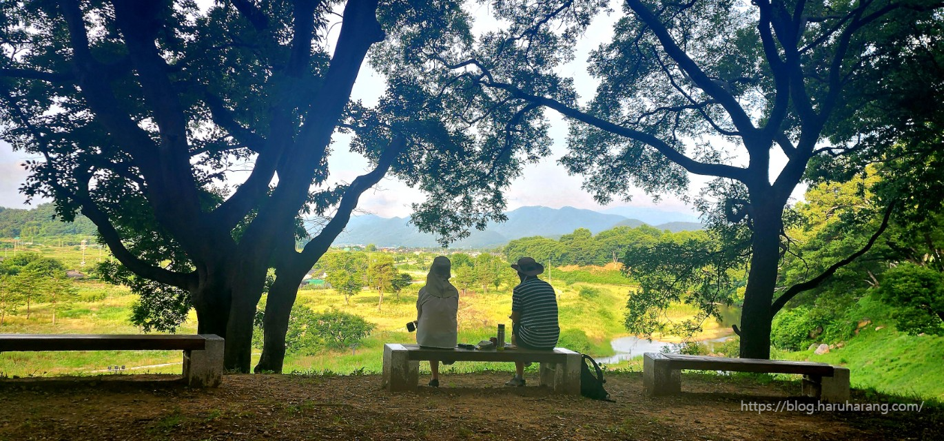 부부 뒷모습 사진