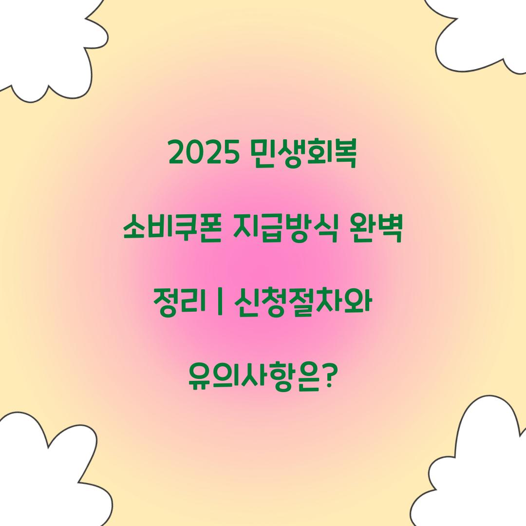 2025 민생회복 소비쿠폰 지급방식