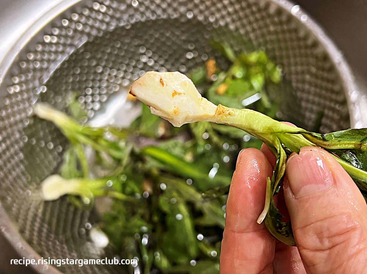 봄 고들빼기 손질된 사진