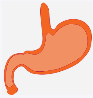 수면 위내시경 비용, 검사비용