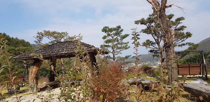 동화힐링캠프