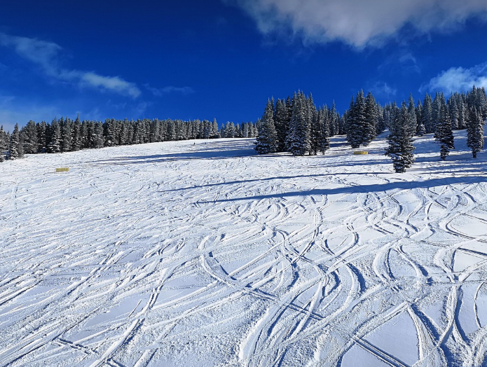 트레블콘스키장