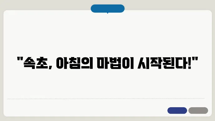 최고의 환상적인 아침, 여행을 시작하는 완벽한 장소