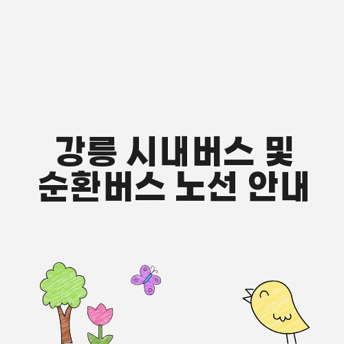 강릉 시내버스 및 순환버스 노선 안내