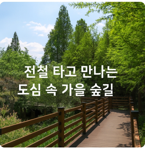 가을 걷기 좋은 서울 근교 산책로 - 부천 무장애 데크길 누구나숲길