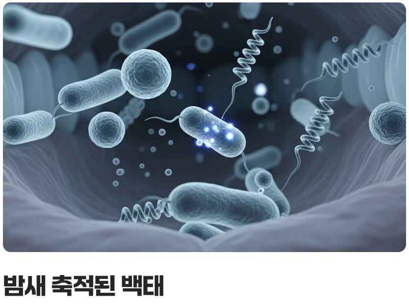 최고의 타이밍, '아침에 일어나자마자'