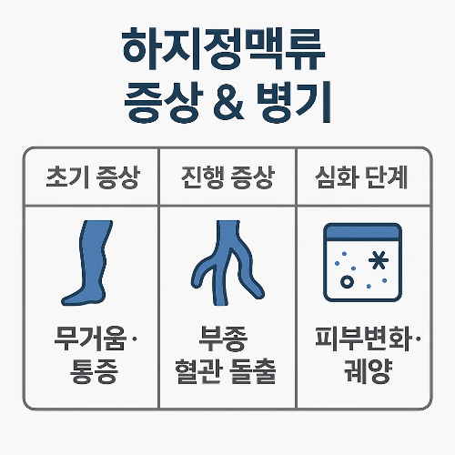 하지정맥류 초기 증상부터 진행 증상, 심화 단계까지의 변화를 설명한 인포그래픽으로, 무거움과 통증, 혈관 돌출, 피부변화와 궤양 등 대표적 증상을 단계별로 보여줍니다.