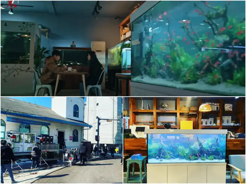 아쿠아 수족관에서 촬영중인 악귀의 주인공 김태리