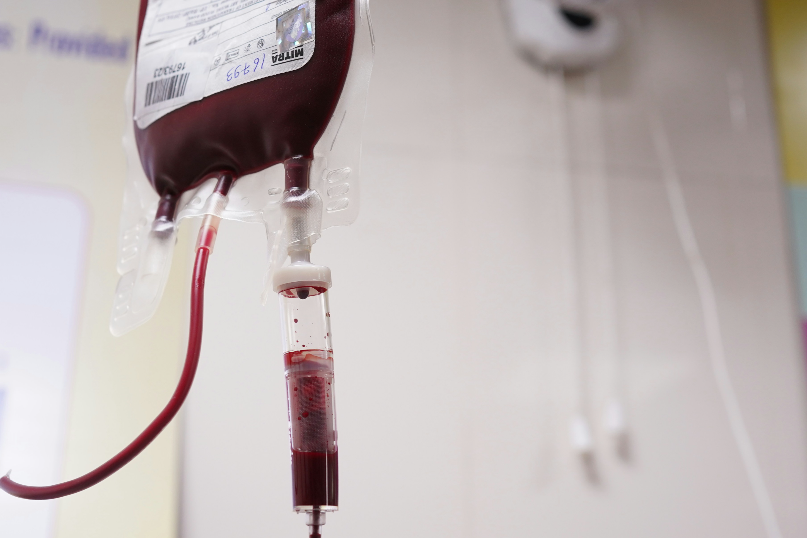 혈액이 담겨있는 수혈백