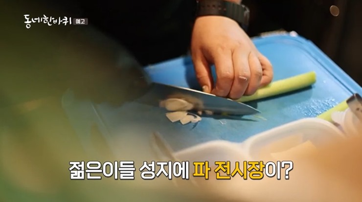 동네한바퀴-파요리