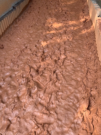 중앙공원_황톳길_클로즈업