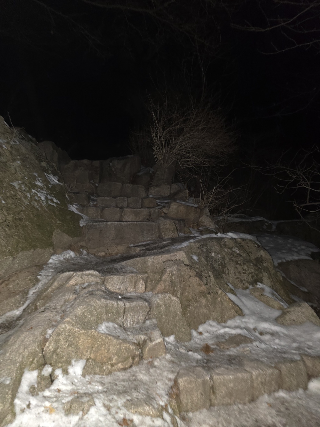 새벽이라 어두워서 안보여요