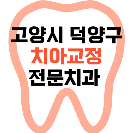 고양시 덕양구 치아교정 치과 잘하는 곳 전문 치과 추천 가격 비용.png