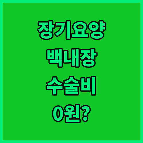 노인 장기요양 등급 백내장 수술비 지..
