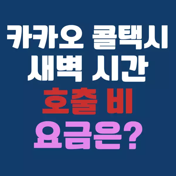 카카오 콜택시로 새벽 시간대 호출하면 요금은 얼마일까