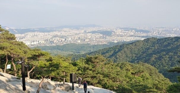 2025년 을사년 새해 해돋이 명소 top10