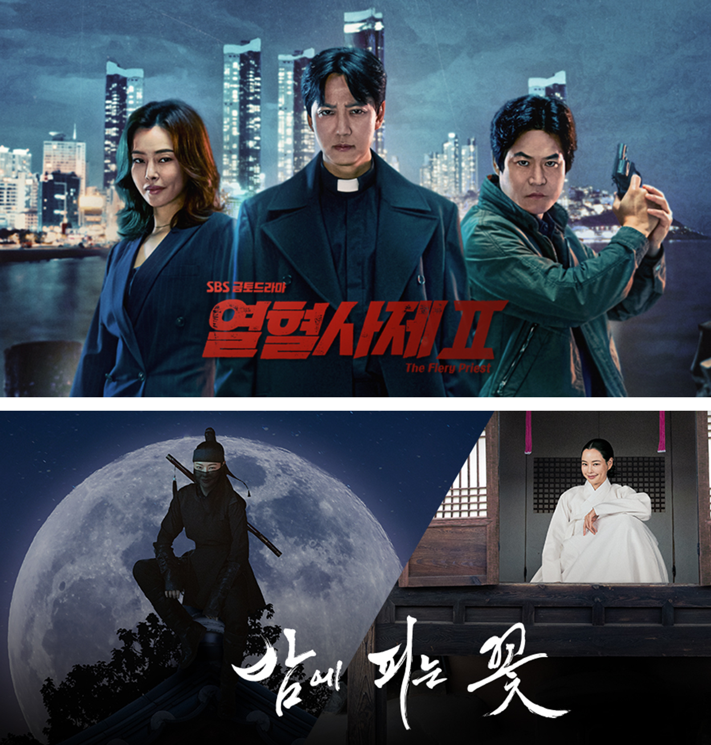 이하늬 배우 필모그래피 열혈사제 1,2 밤에 피는 꽃