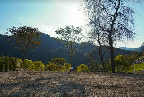 집 밖으로 캠핑장 G공간