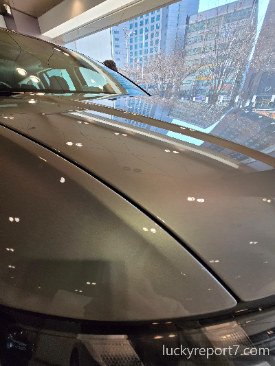 아이오닉9-셀라돈그레이메탈릭-실물색상