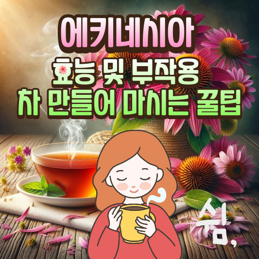 에키네시아 효능