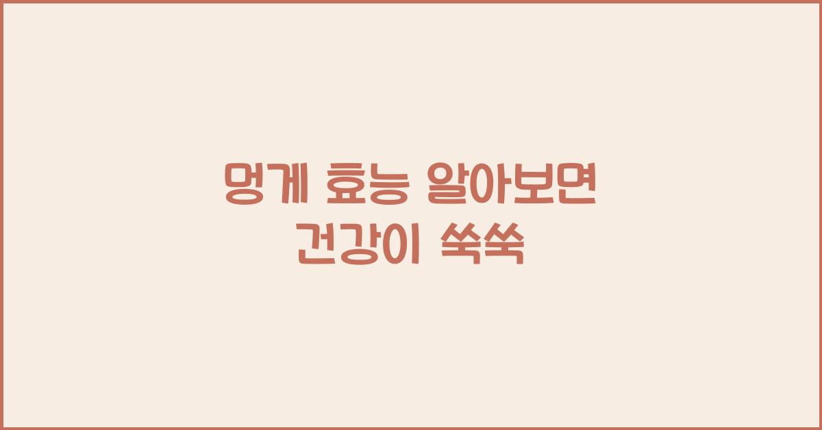 멍게 효능