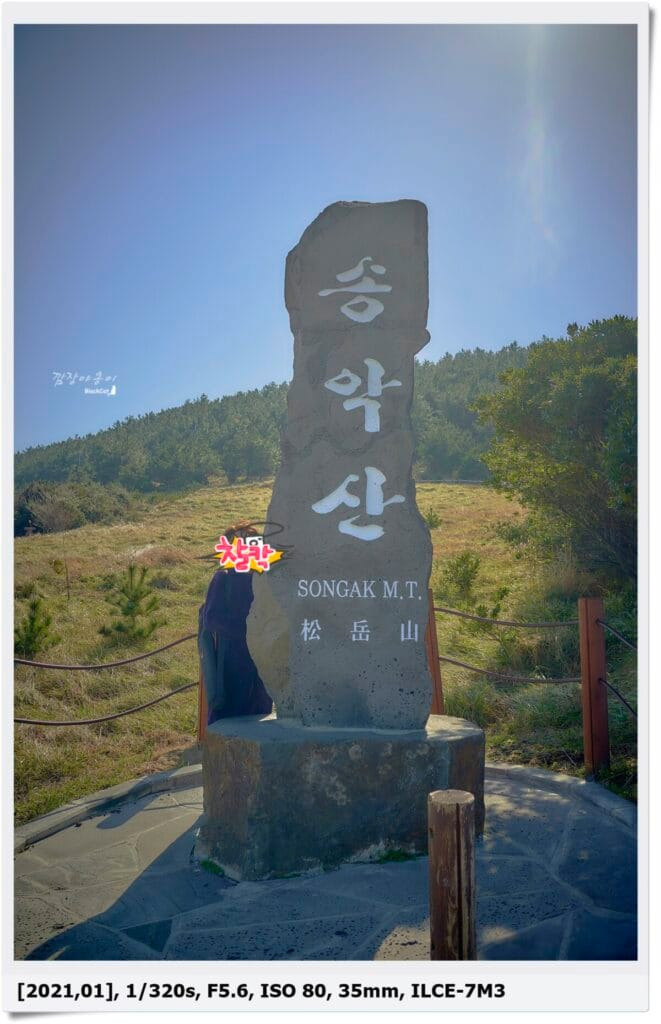 제주 송악산 진지동굴로 향하는 해안 절벽 주변 안내 사진